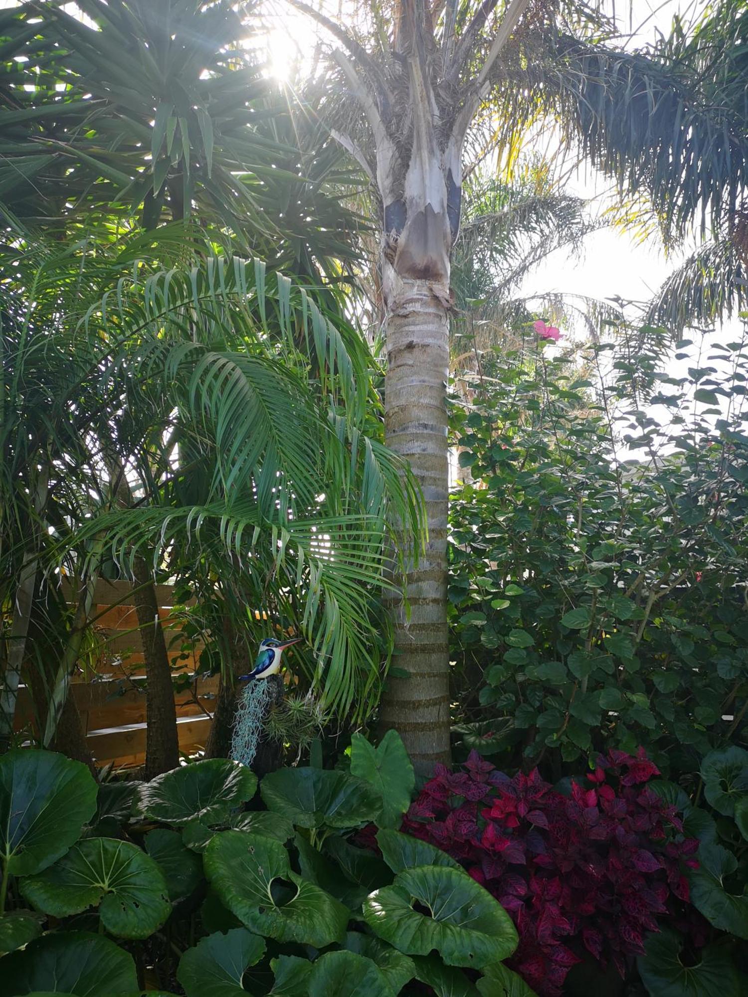 Coast Awhile - Whangamata Holiday Home Екстериор снимка